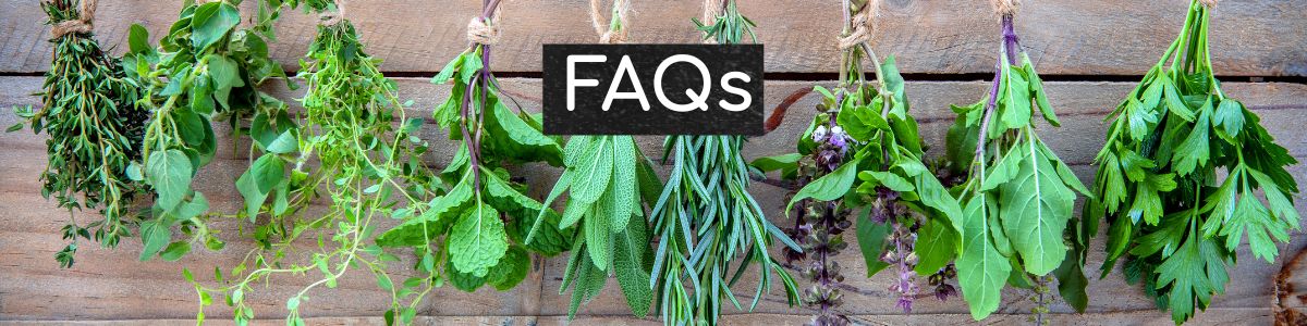 Plantsy Vegan Eats Recipe Bungalow