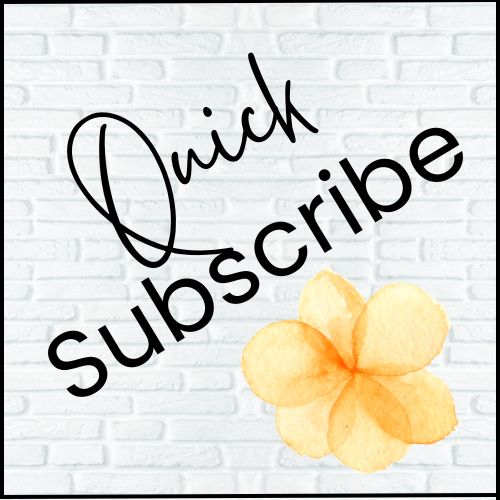 Plantsy Vegan Eats | Menu Board Madness