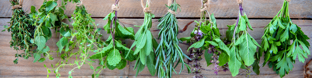 Plantsy Vegan Eats Recipe Bungalow