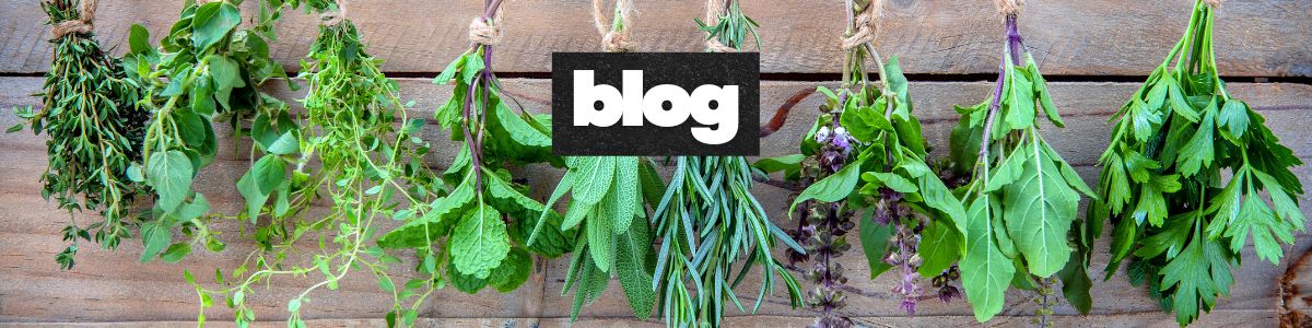 Plantsy Vegan Eats | Menu Board Madness